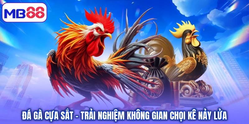Đá gà cựa sắt