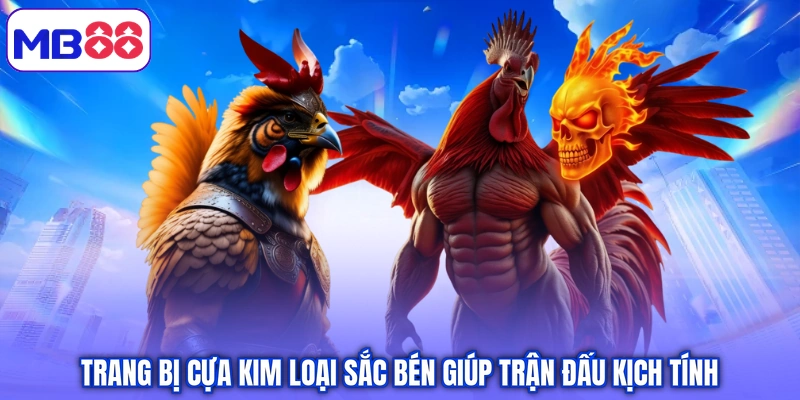 Trang bị cựa kim loại sắc bén giúp trận đấu kịch tính 