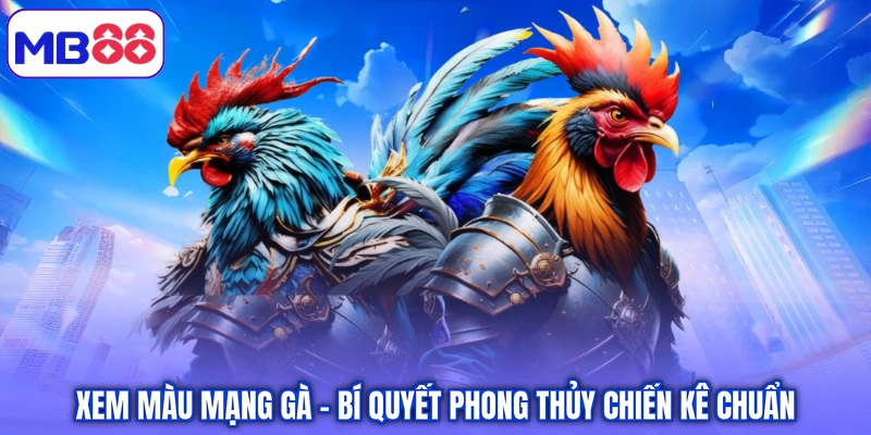Xem màu mạng gà